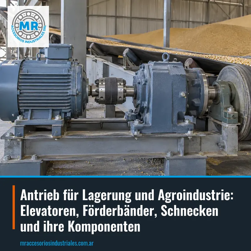Antrieb für Lagerung und Agroindustrie: Elevatoren, Förderbänder, Schnecken und ihre Komponenten
