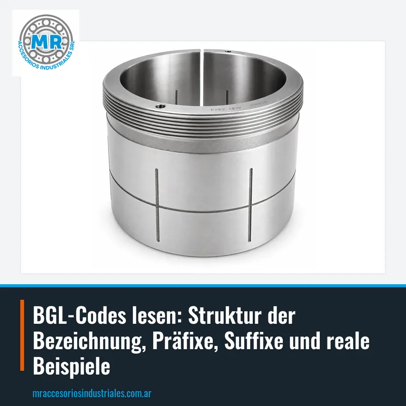 BGL-Codes lesen: Struktur der Bezeichnung, Präfixe, Suffixe und reale Beispiele
