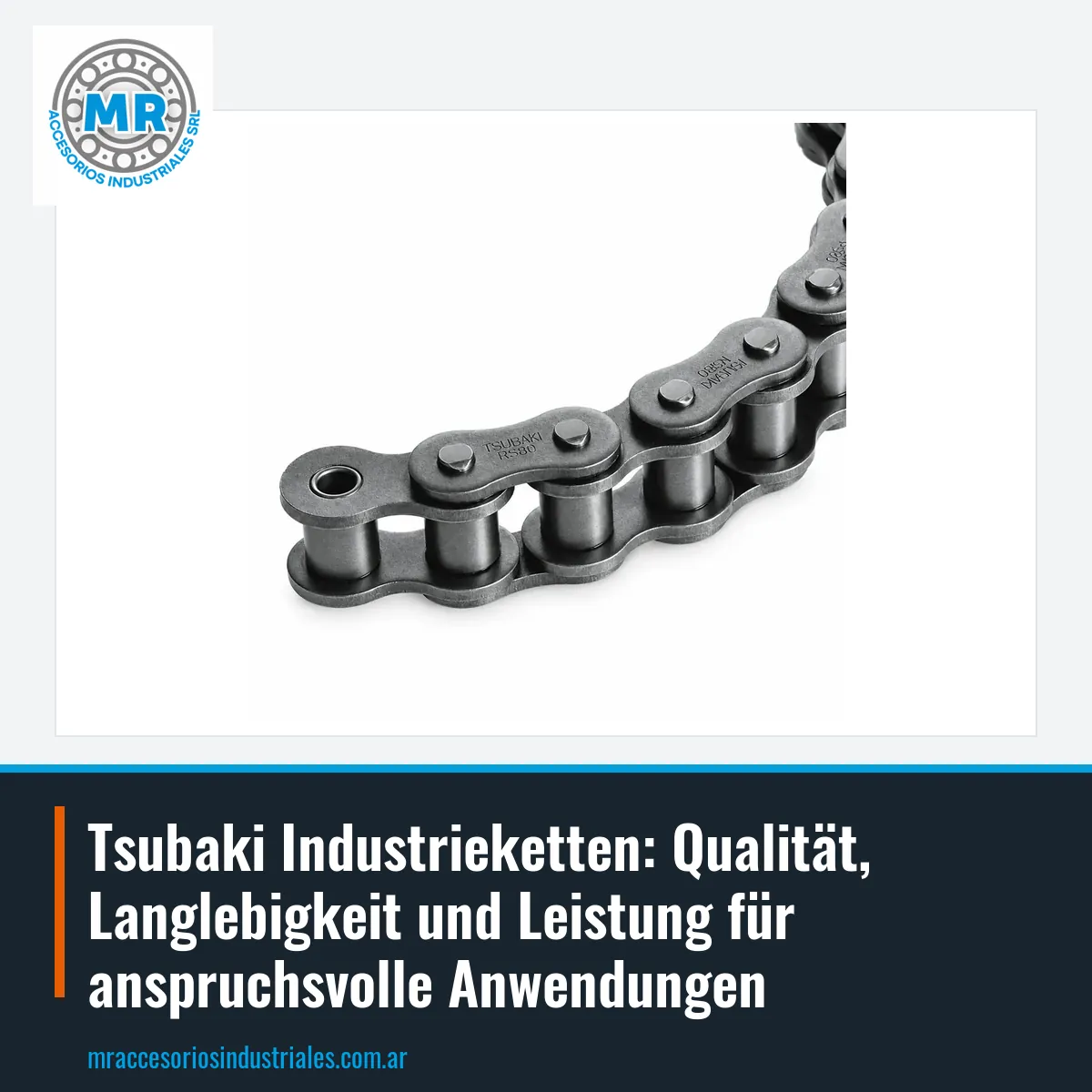 Tsubaki Industrieketten: Qualität, Langlebigkeit und Leistung für anspruchsvolle Anwendungen