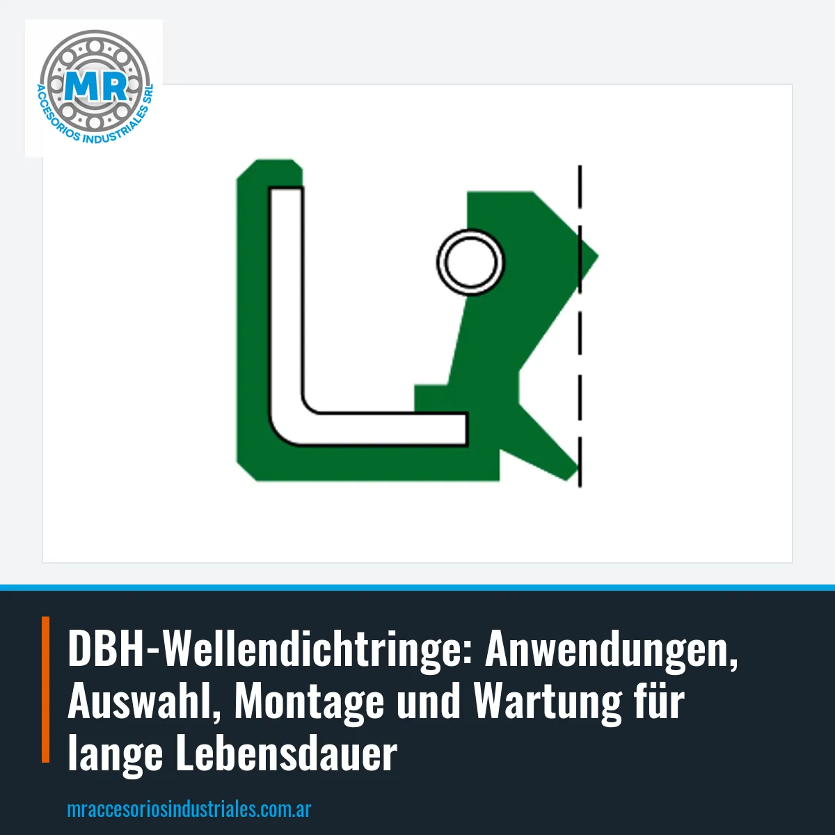 DBH-Wellendichtringe: Anwendungen, Auswahl, Montage und Wartung für lange Lebensdauer