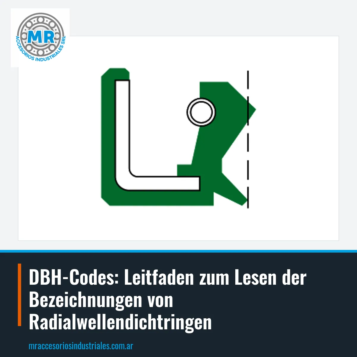 DBH-Codes: Leitfaden zum Lesen der Bezeichnungen von Radialwellendichtringen