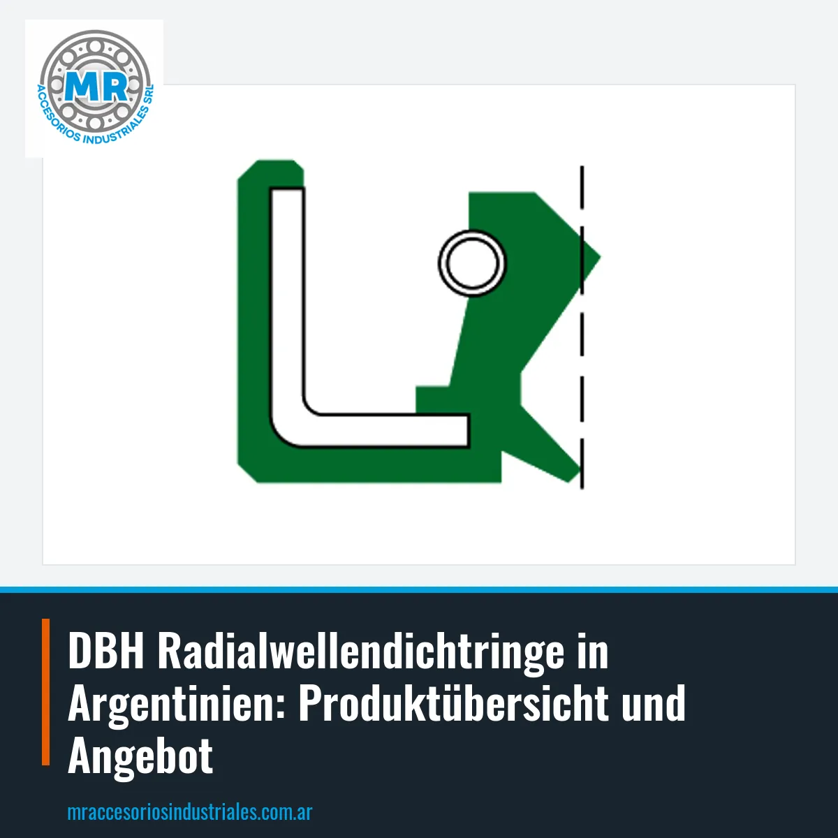 DBH Radialwellendichtringe in Argentinien: Produktübersicht und Angebot