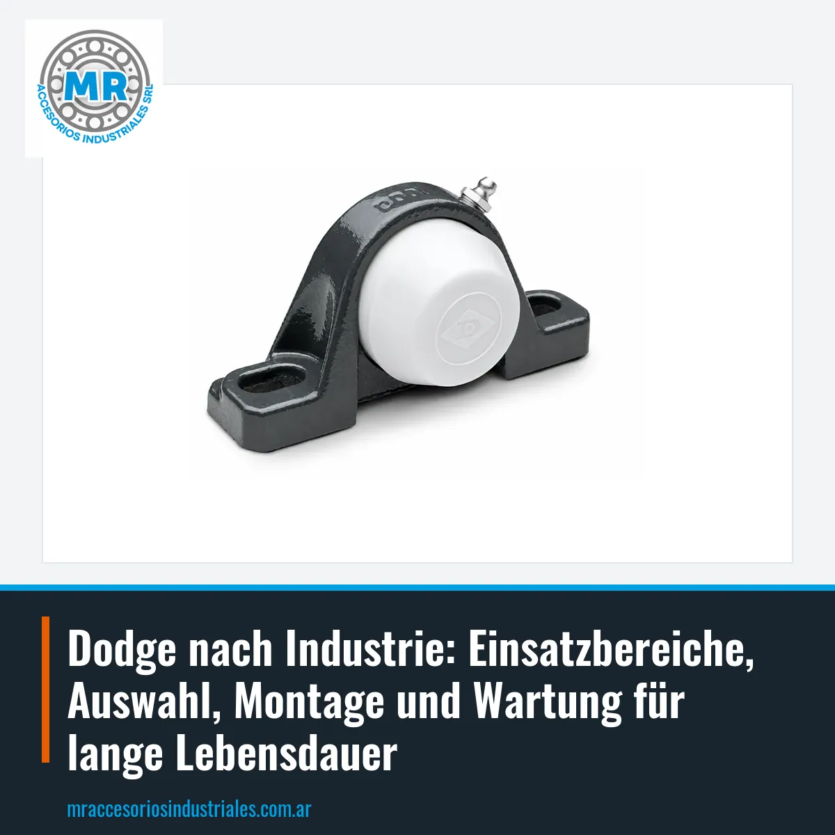 Dodge nach Industrie: Einsatzbereiche, Auswahl, Montage und Wartung für lange Lebensdauer