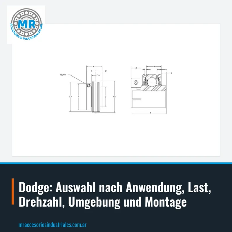 Dodge: Auswahl nach Anwendung, Last, Drehzahl, Umgebung und Montage
