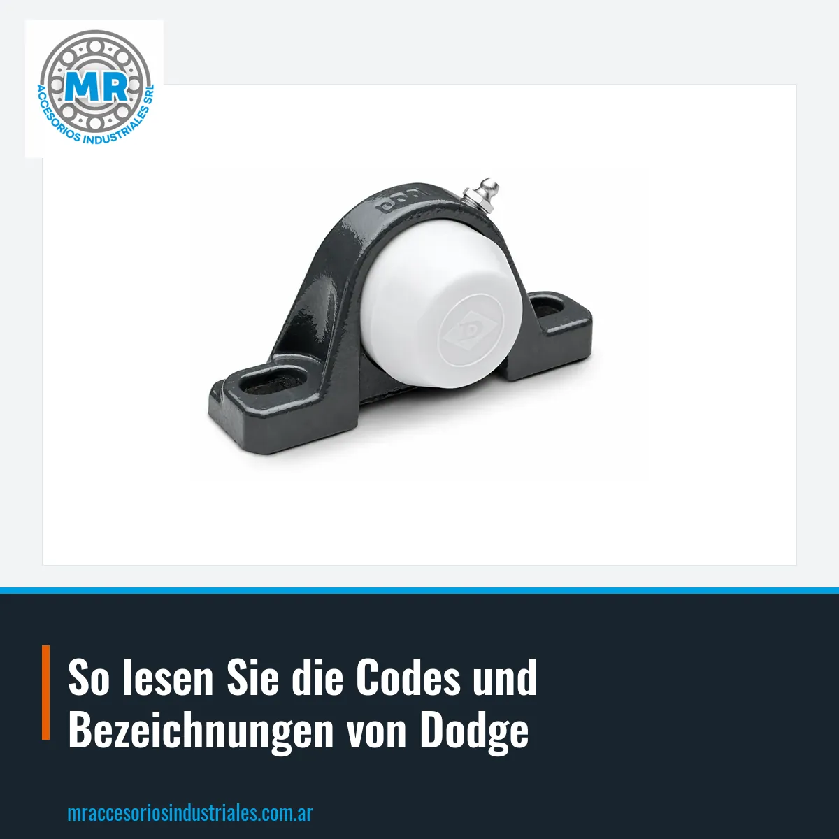 So lesen Sie die Codes und Bezeichnungen von Dodge