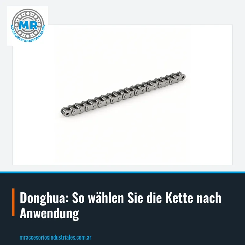 Donghua: So wählen Sie die Kette nach Anwendung