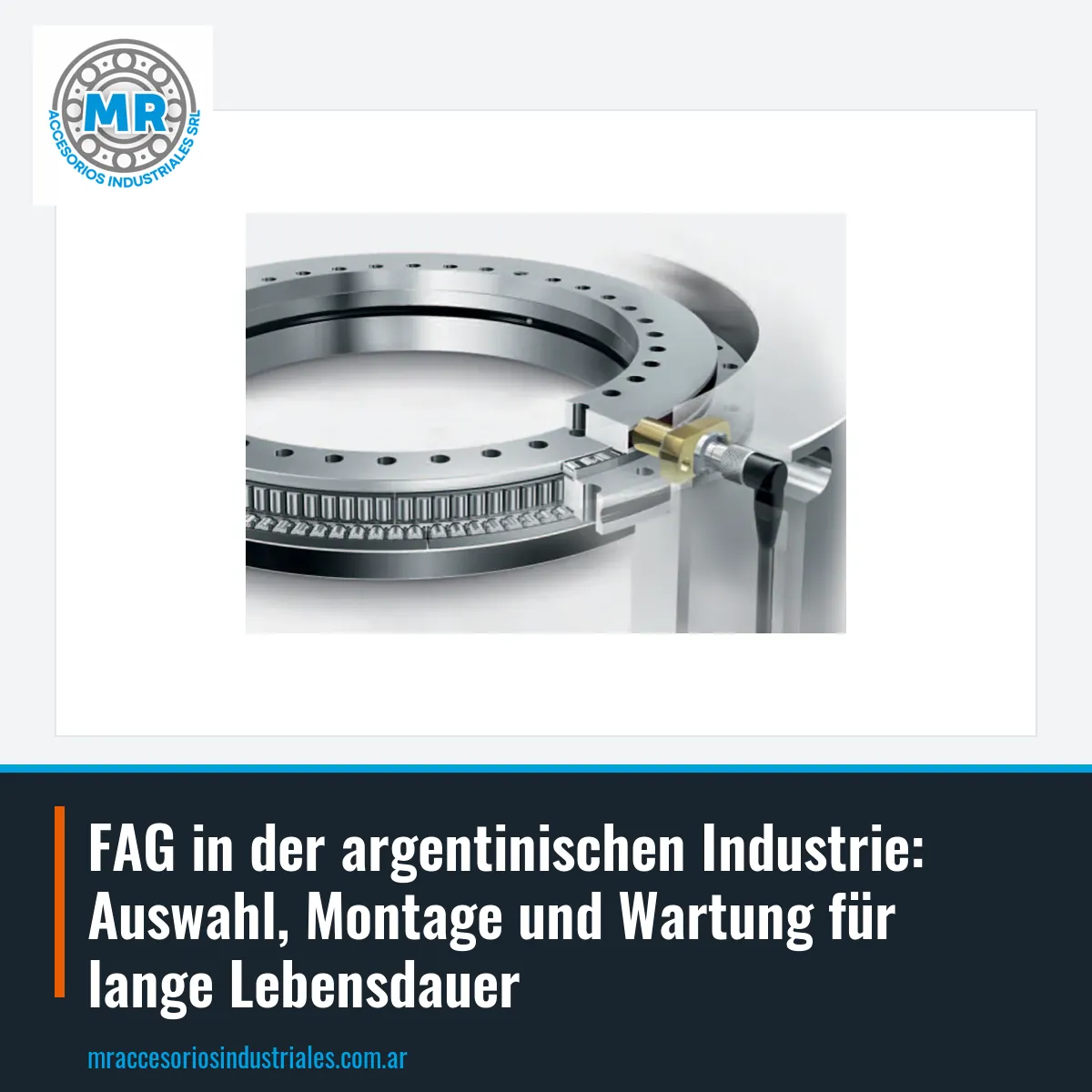 FAG in der argentinischen Industrie: Auswahl, Montage und Wartung für lange Lebensdauer