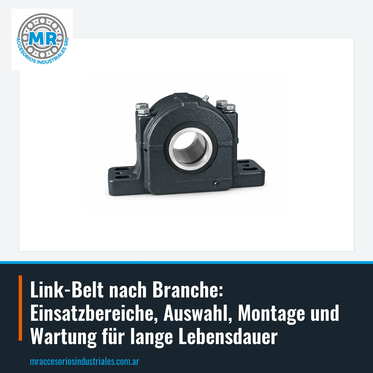 Link-Belt nach Branche: Einsatzbereiche, Auswahl, Montage und Wartung für lange Lebensdauer