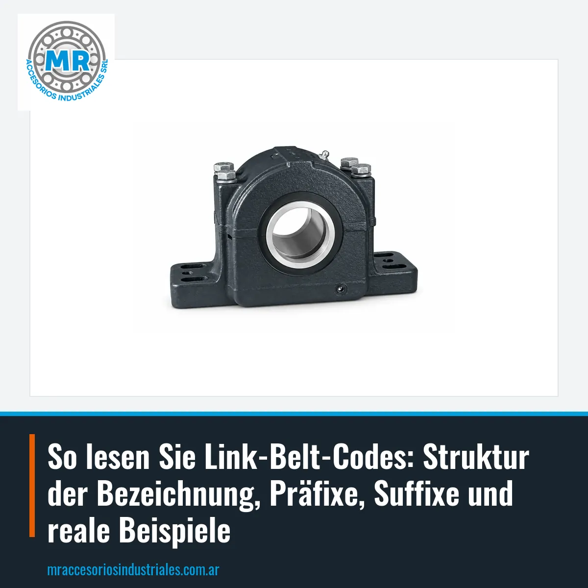 So lesen Sie Link-Belt-Codes: Struktur der Bezeichnung, Präfixe, Suffixe und reale Beispiele