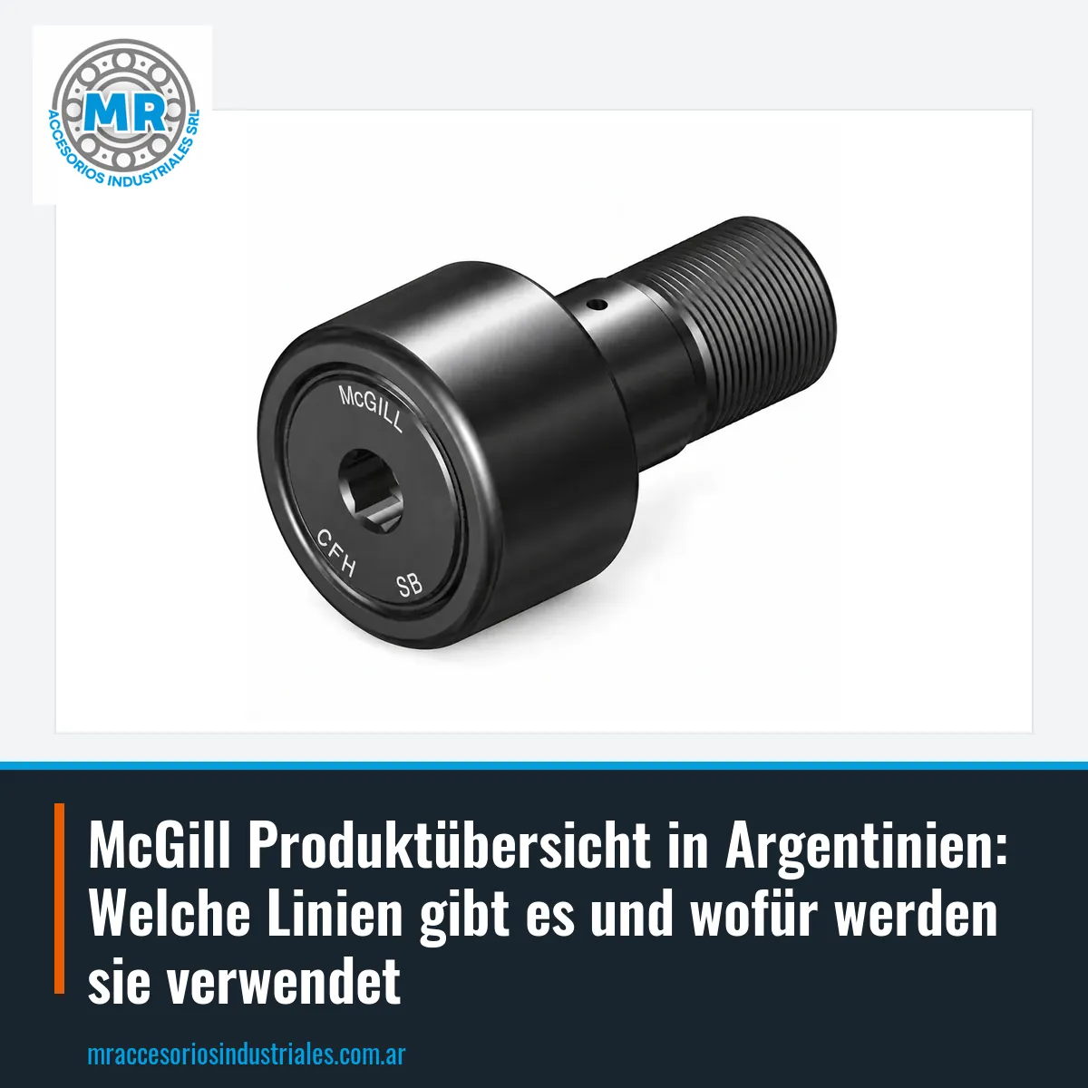 McGill Produktübersicht in Argentinien: Welche Linien gibt es und wofür werden sie verwendet