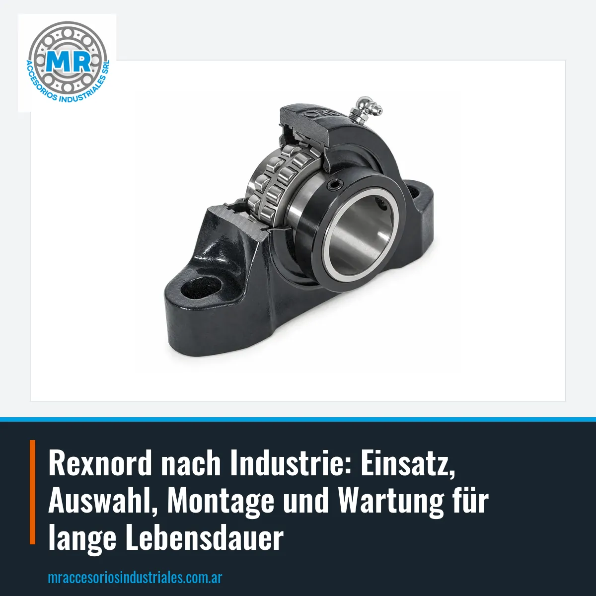 Rexnord nach Industrie: Einsatz, Auswahl, Montage und Wartung für lange Lebensdauer