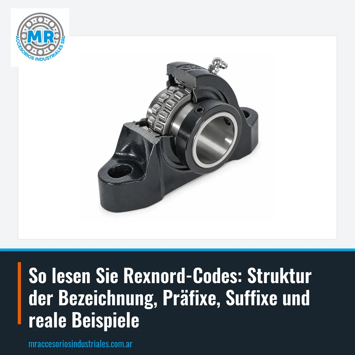 So lesen Sie Rexnord-Codes: Struktur der Bezeichnung, Präfixe, Suffixe und reale Beispiele