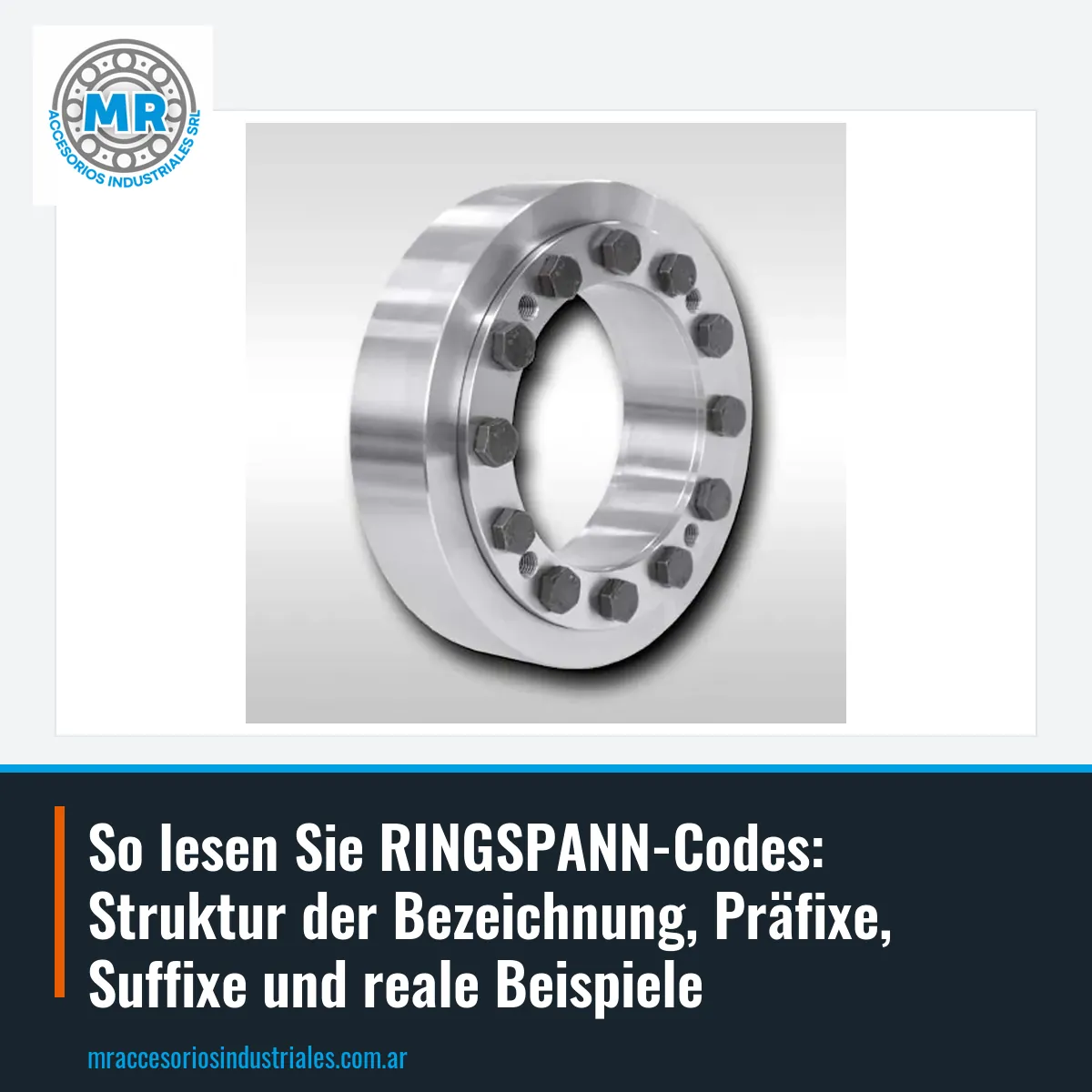So lesen Sie RINGSPANN-Codes: Struktur der Bezeichnung, Präfixe, Suffixe und reale Beispiele