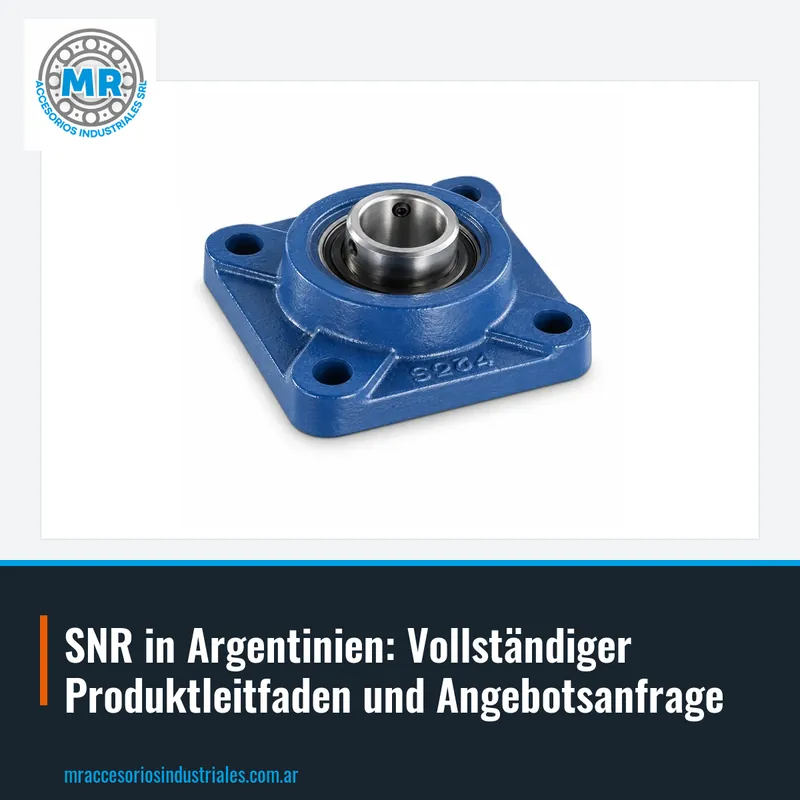 SNR in Argentinien: Vollständiger Produktleitfaden und Angebotsanfrage