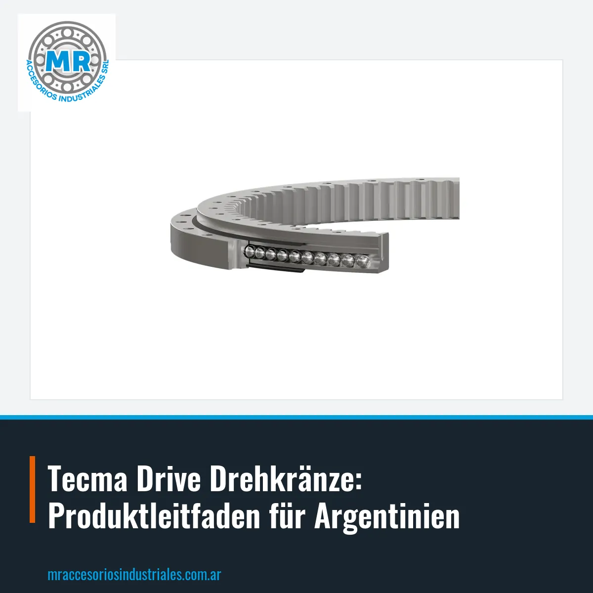 Tecma Drive Drehkränze: Produktleitfaden für Argentinien