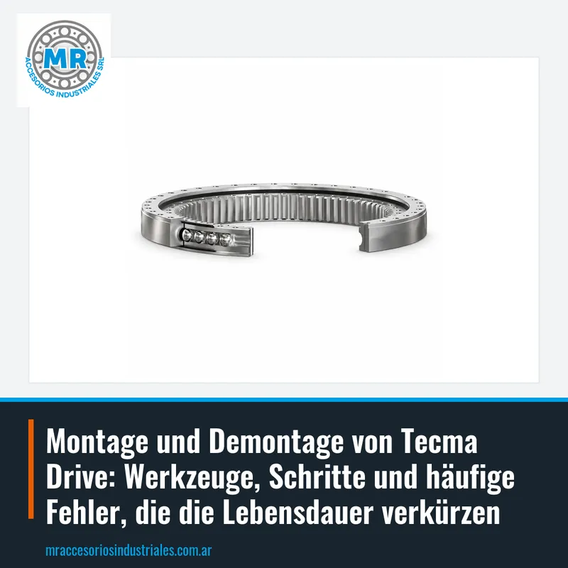 Montage und Demontage von Tecma Drive: Werkzeuge, Schritte und häufige Fehler, die die Lebensdauer verkürzen