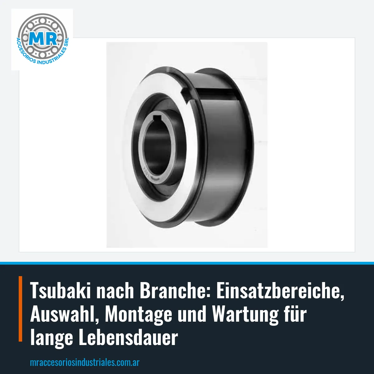 Tsubaki nach Branche: Einsatzbereiche, Auswahl, Montage und Wartung für lange Lebensdauer