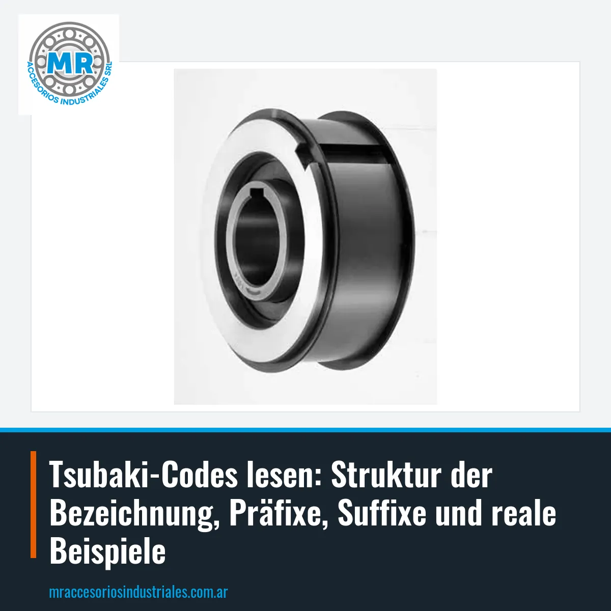 Tsubaki-Codes lesen: Struktur der Bezeichnung, Präfixe, Suffixe und reale Beispiele