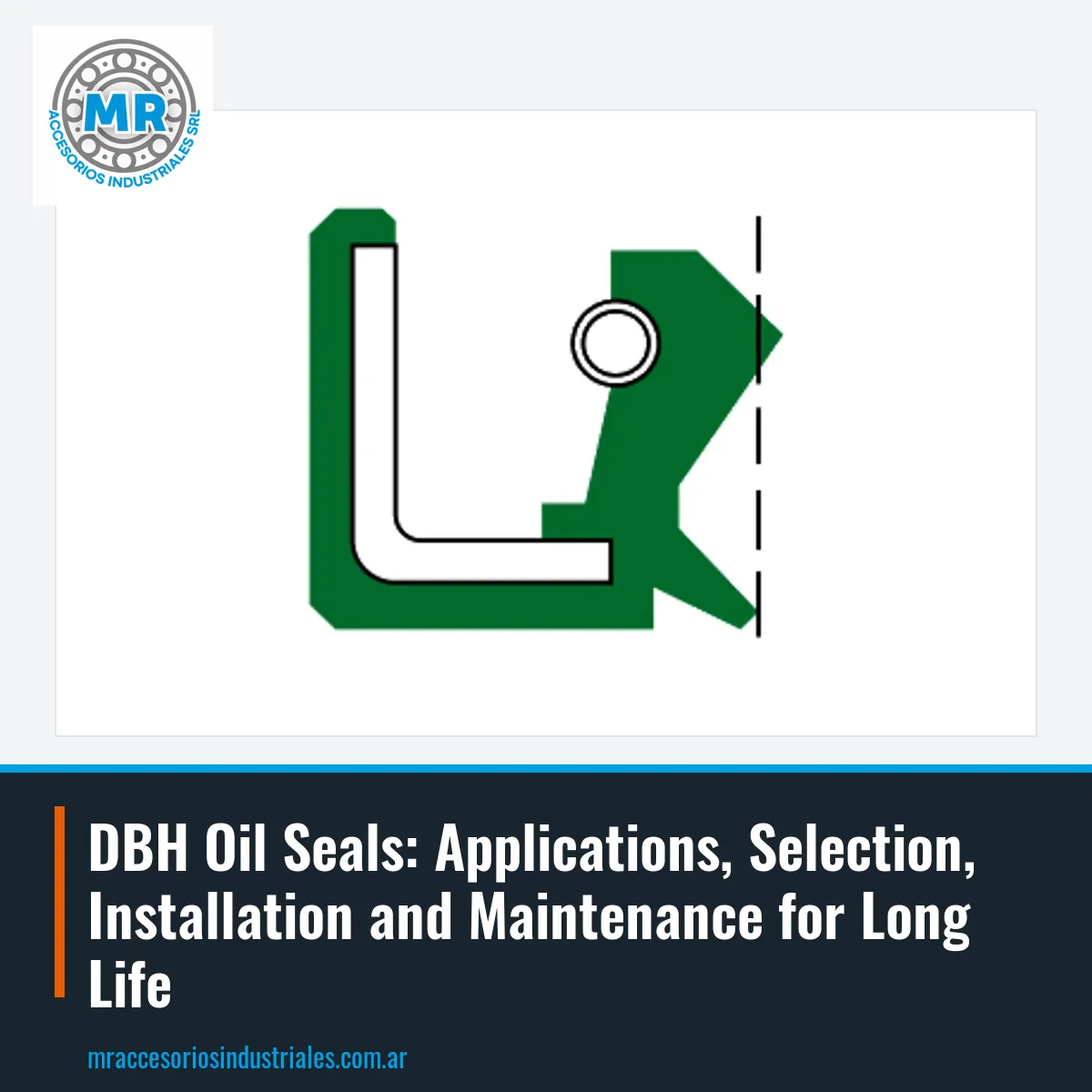 DBH Oil Seals: Applications, Selection, Installation and Maintenance for Long Life