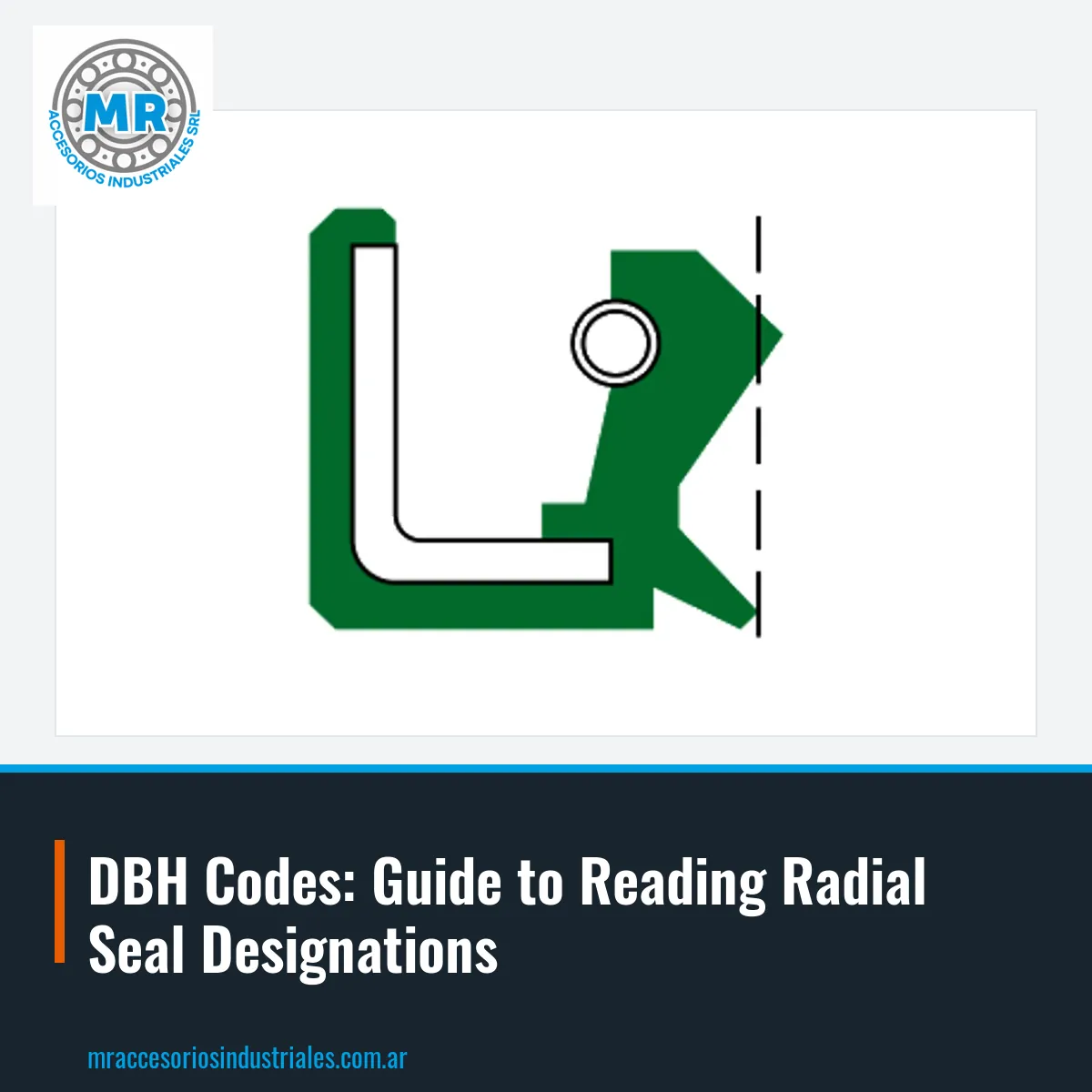 DBH Codes: Guide to Reading Radial Seal Designations
