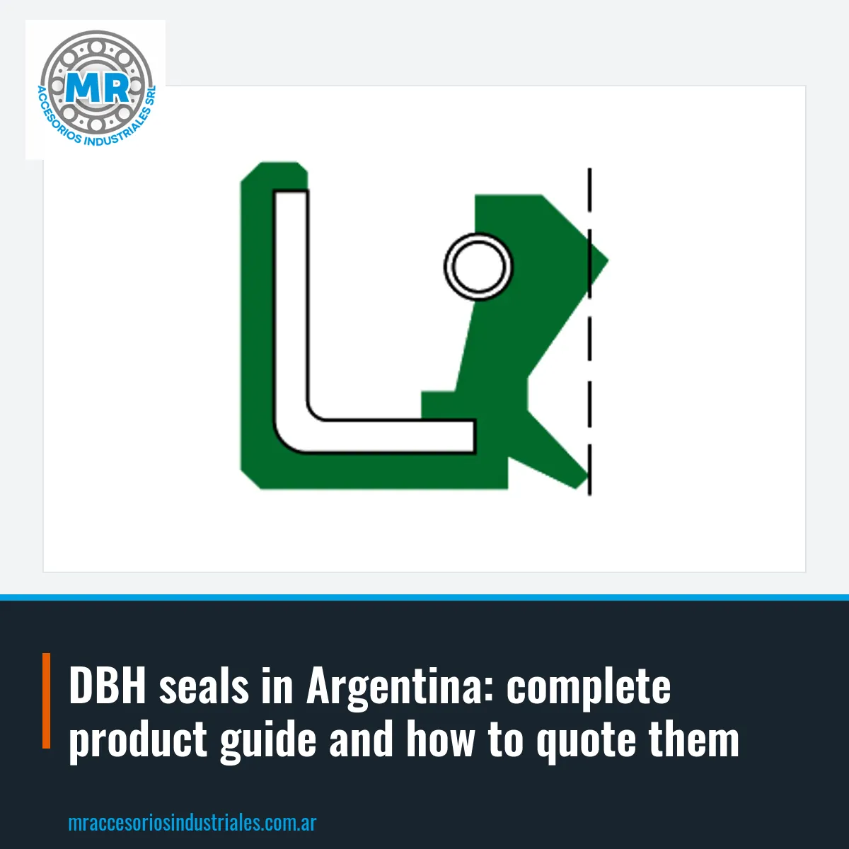 DBH seals in Argentina: complete product guide and how to quote them