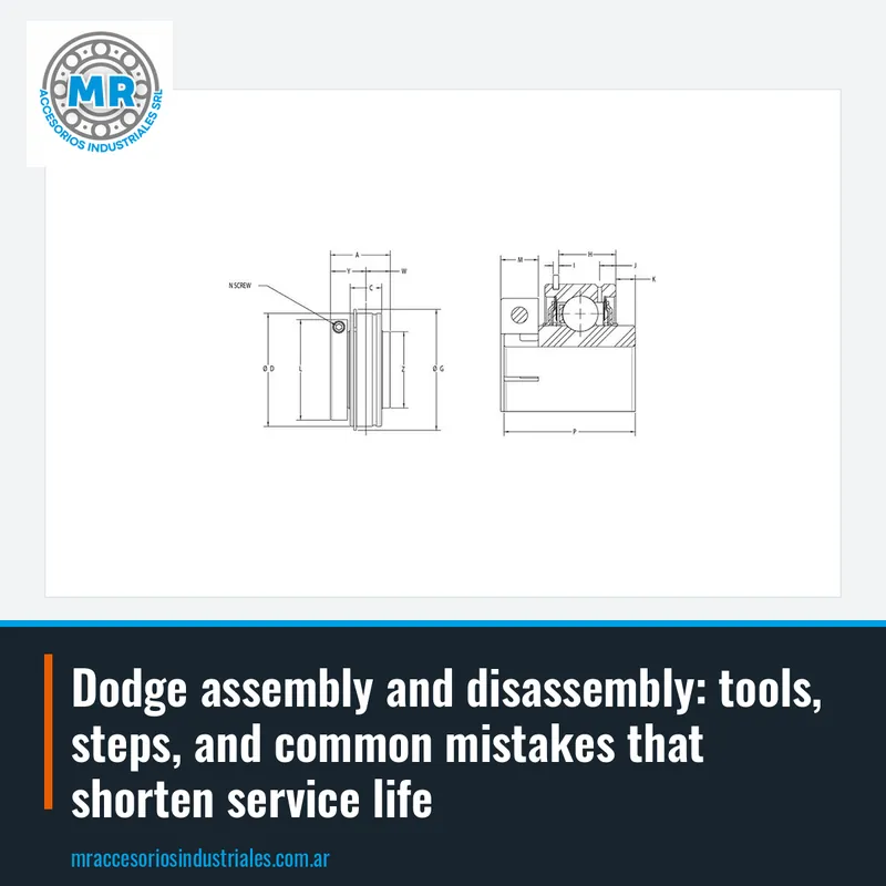 Dodge assembly and disassembly: tools, steps, and common mistakes that shorten service life