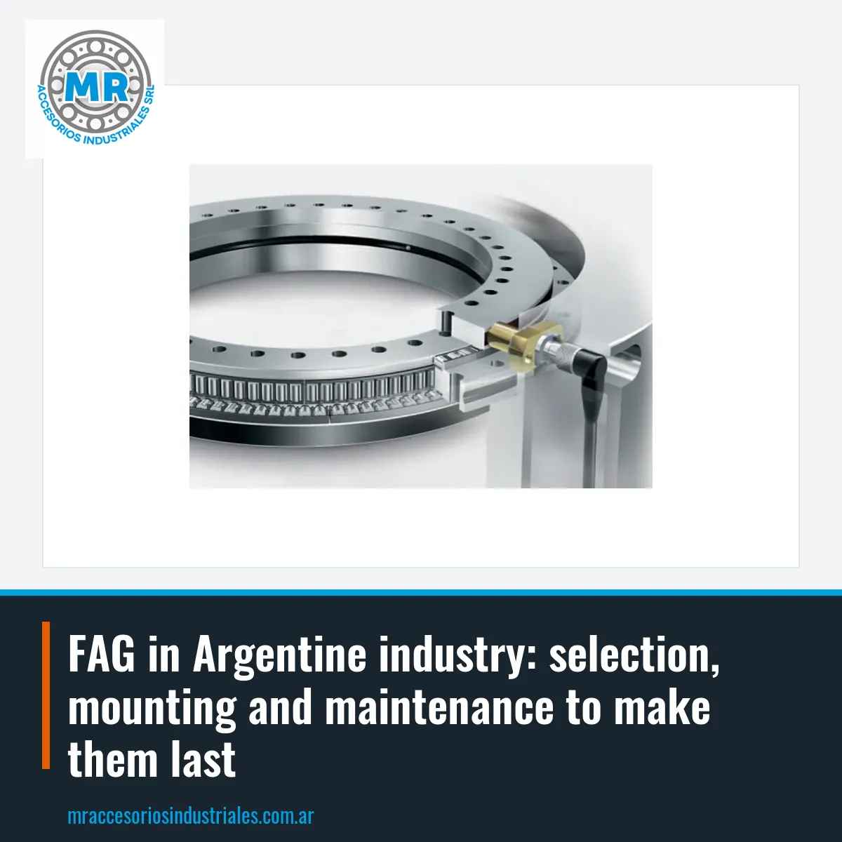 FAG in Argentine industry: selection, mounting and maintenance to make them last
