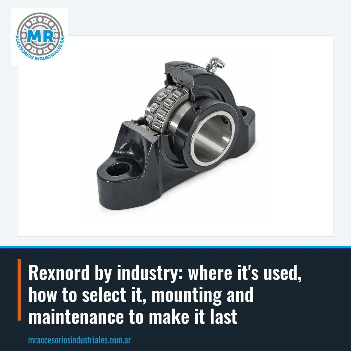 Rexnord by industry: where it's used, how to select it, mounting and maintenance to make it last