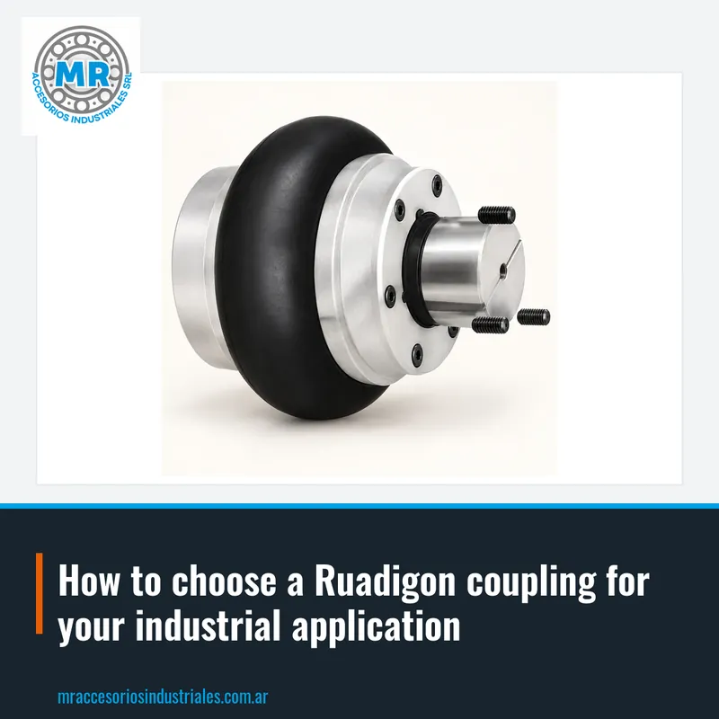 How to choose a Ruadigon coupling for your industrial application