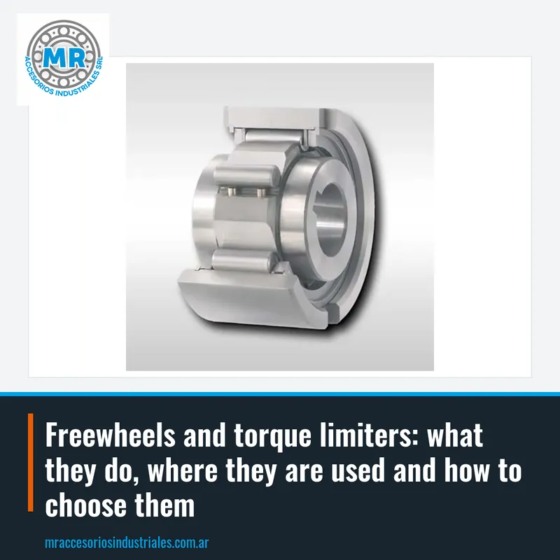 Freewheels and torque limiters: what they do, where they are used and how to choose them