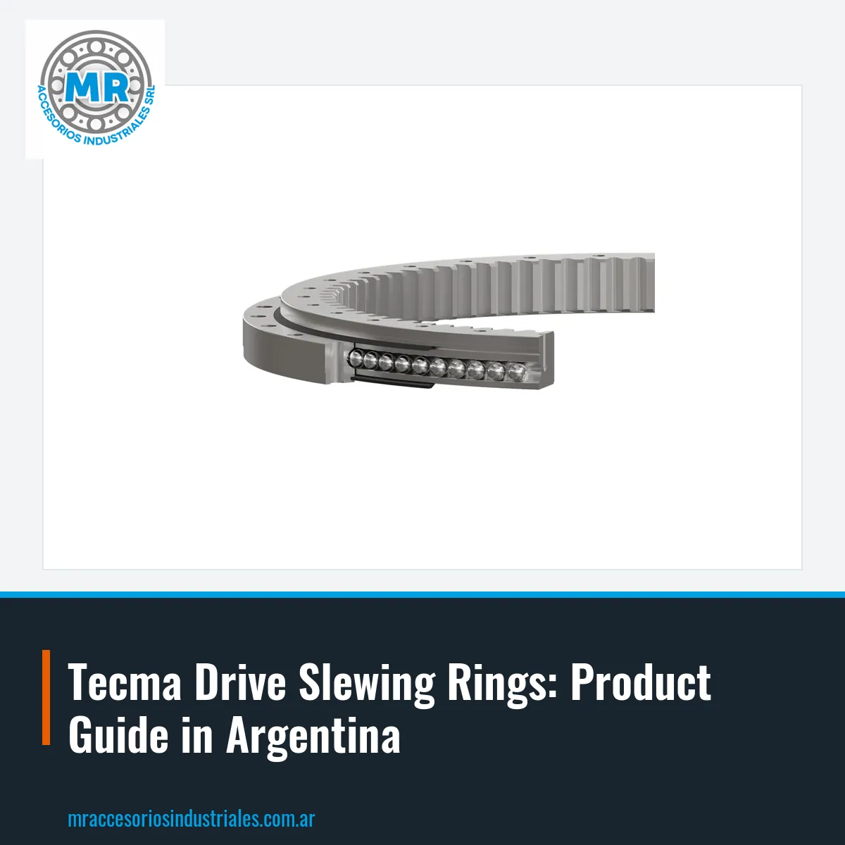 Tecma Drive Slewing Rings: Product Guide in Argentina