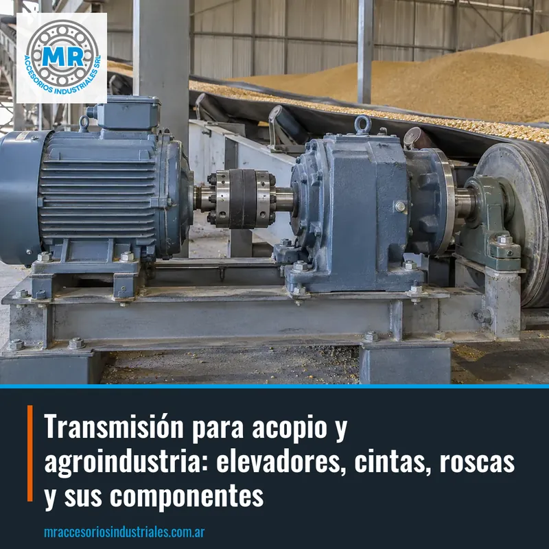 Transmisión para acopio y agroindustria: elevadores, cintas, roscas y sus componentes