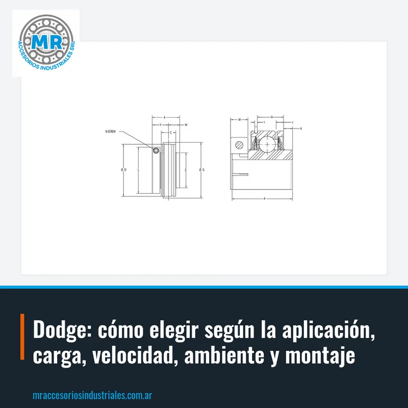 Dodge: cómo elegir según la aplicación, carga, velocidad, ambiente y montaje