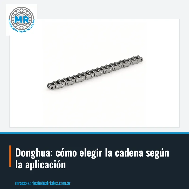 Donghua: cómo elegir la cadena según la aplicación