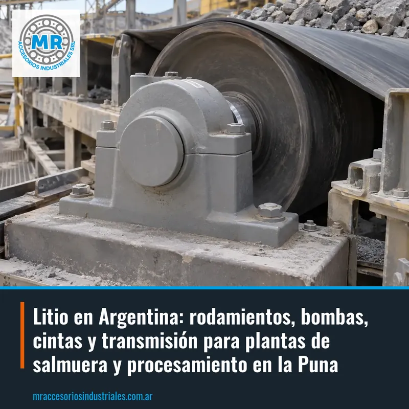 Litio en Argentina: rodamientos, bombas, cintas y transmisión para plantas de salmuera y procesamiento en la Puna