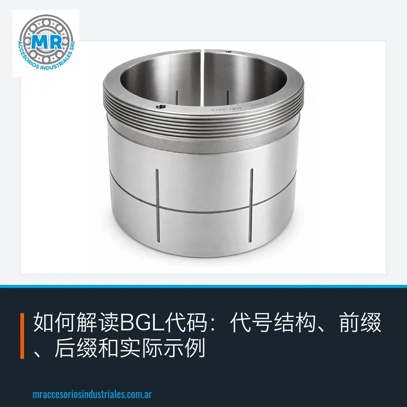 如何解读BGL代码:代号结构、前缀、后缀和实际示例