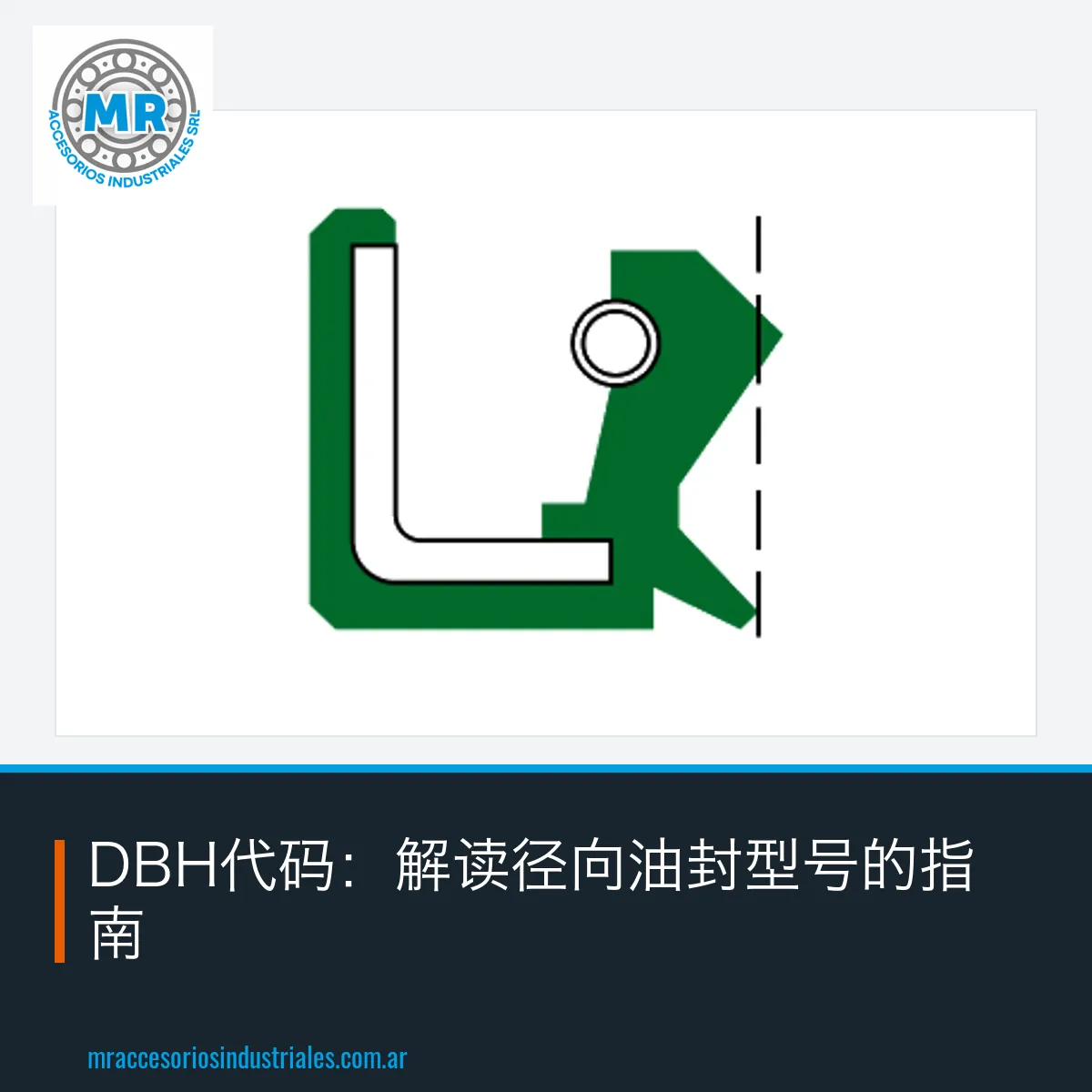 DBH代码：解读径向油封型号的指南