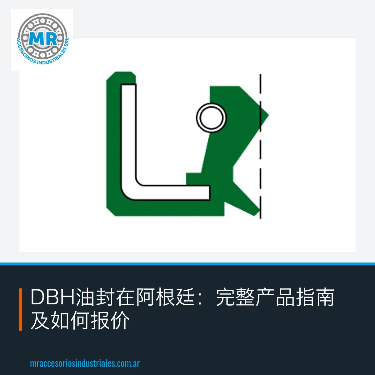 DBH油封在阿根廷：完整产品指南及如何报价