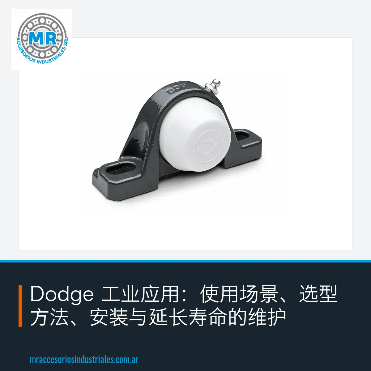 Dodge 工业应用：使用场景、选型方法、安装与延长寿命的维护