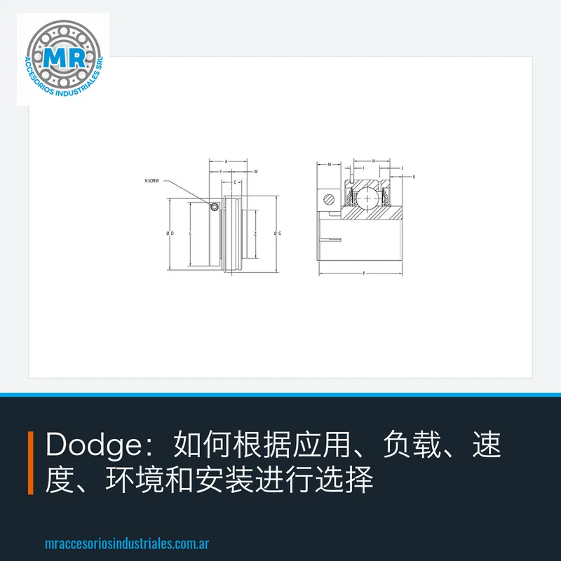 Dodge：如何根据应用、负载、速度、环境和安装进行选择