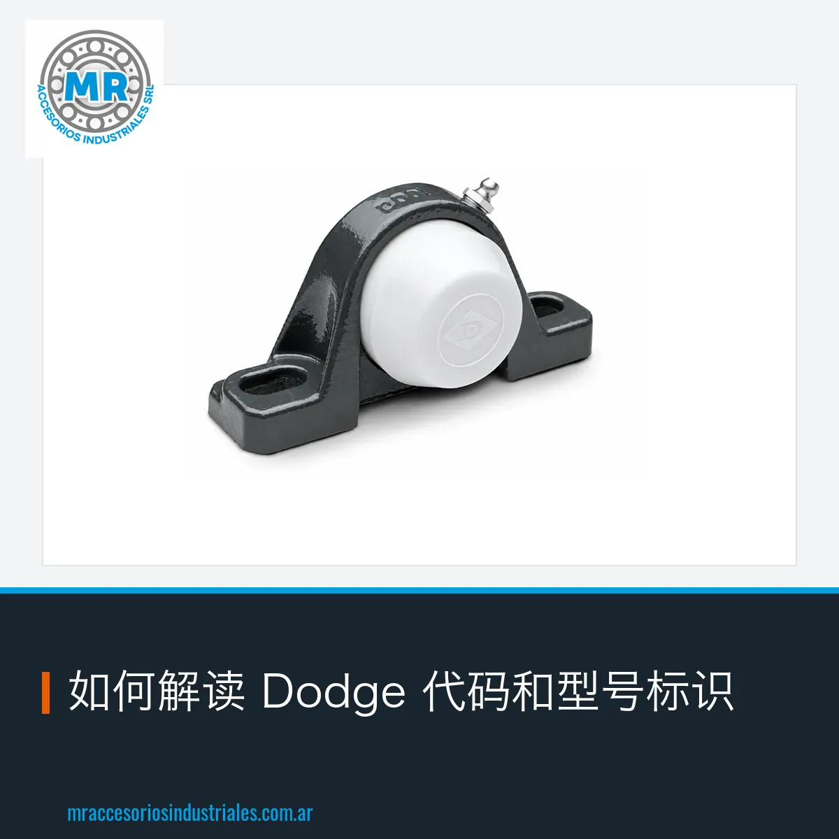 如何解读 Dodge 代码和型号标识