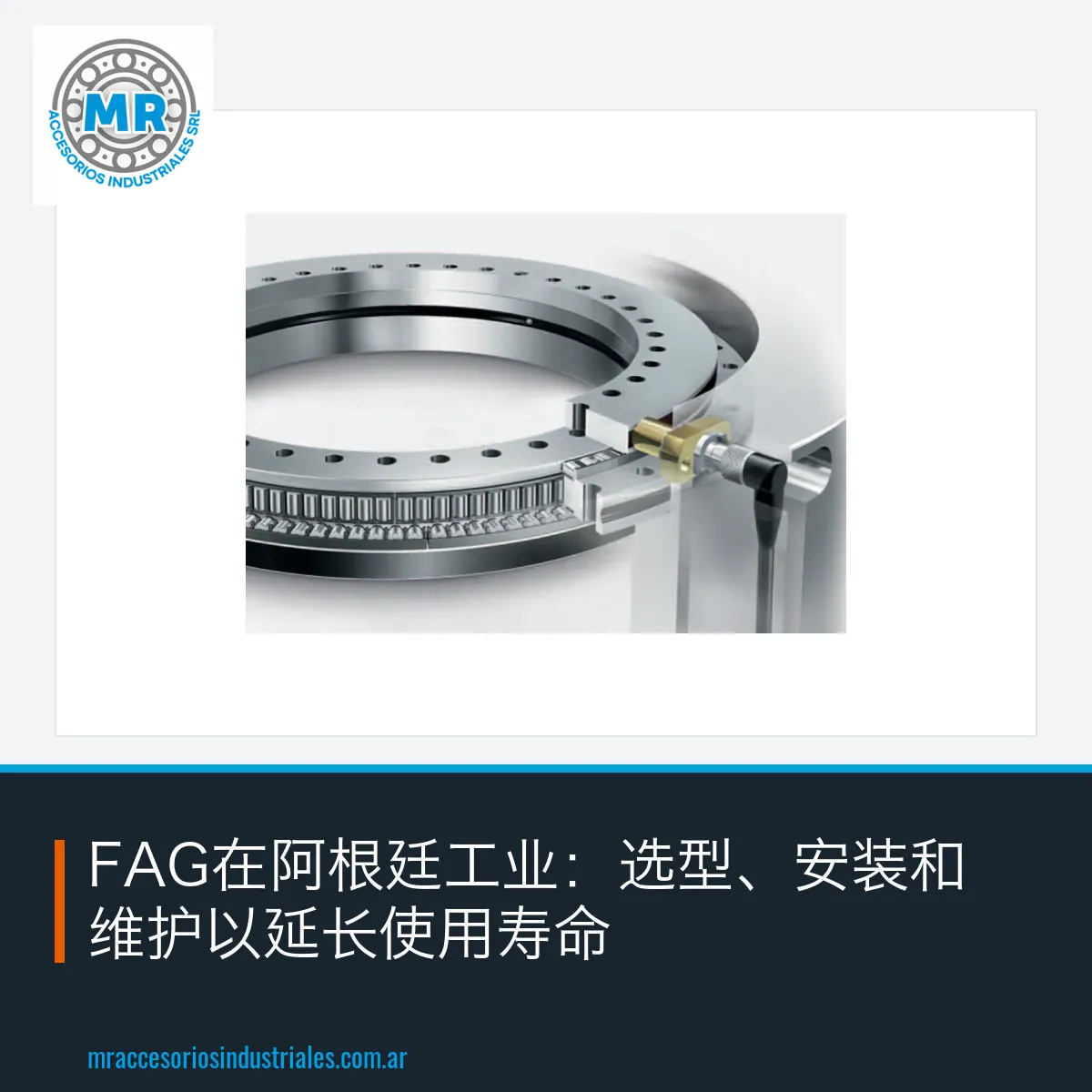FAG在阿根廷工业：选型、安装和维护以延长使用寿命