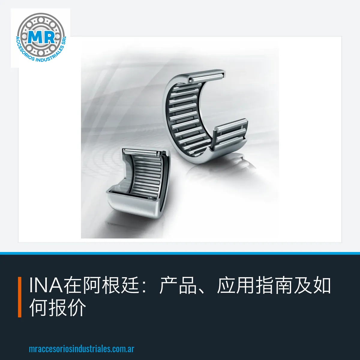 INA在阿根廷：产品、应用指南及如何报价