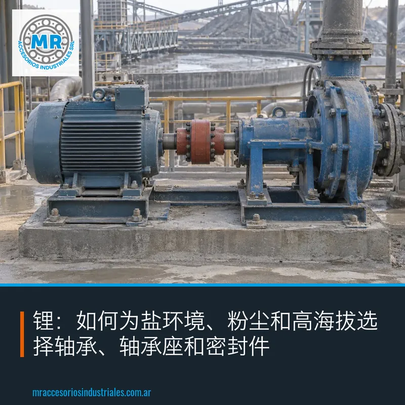 锂:如何为盐环境、粉尘和高海拔选择轴承、轴承座和密封件