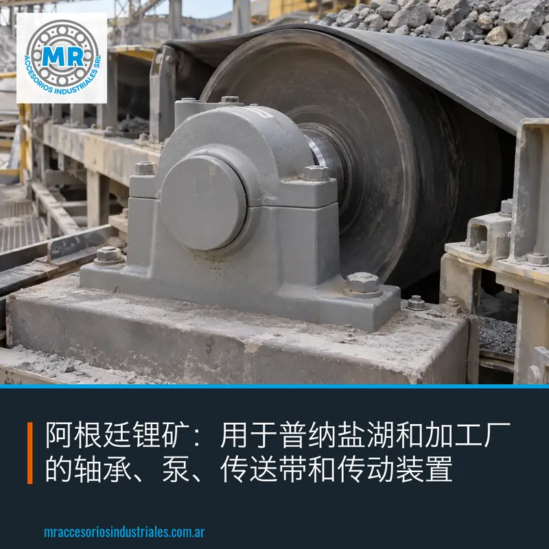 阿根廷锂矿:用于普纳盐湖和加工厂的轴承、泵、传送带和传动装置
