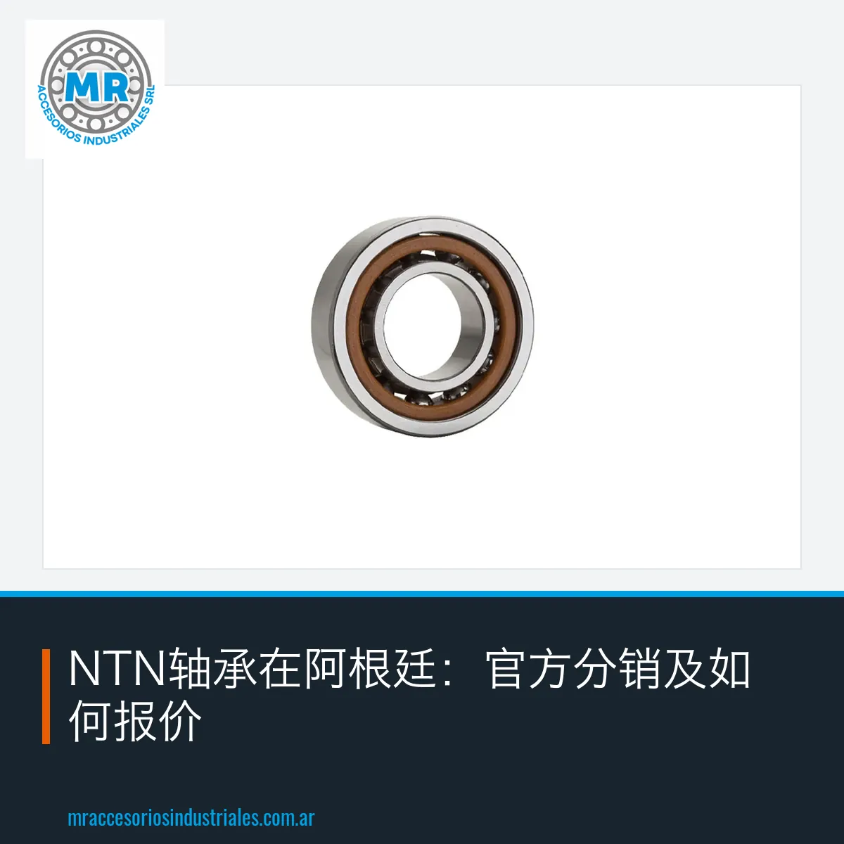 NTN轴承在阿根廷：官方分销及如何报价
