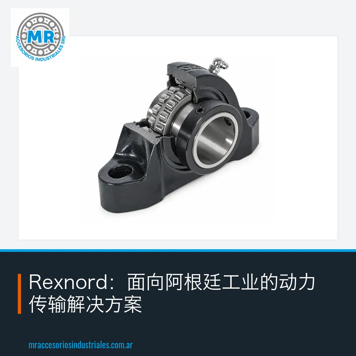 Rexnord：面向阿根廷工业的动力传输解决方案