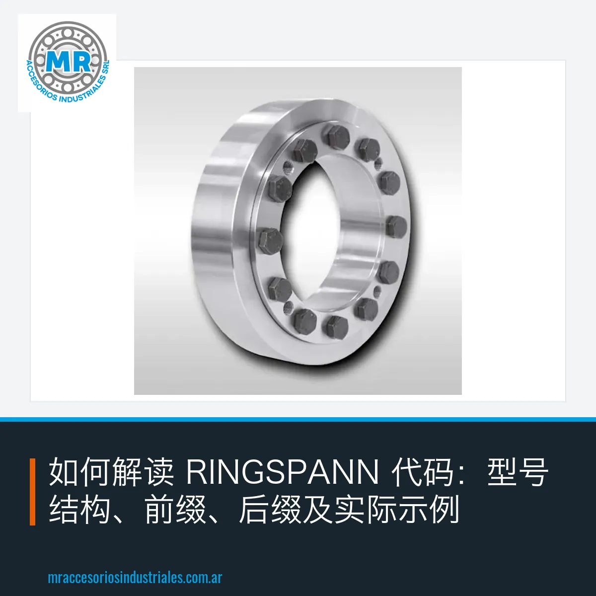 如何解读 RINGSPANN 代码：型号结构、前缀、后缀及实际示例