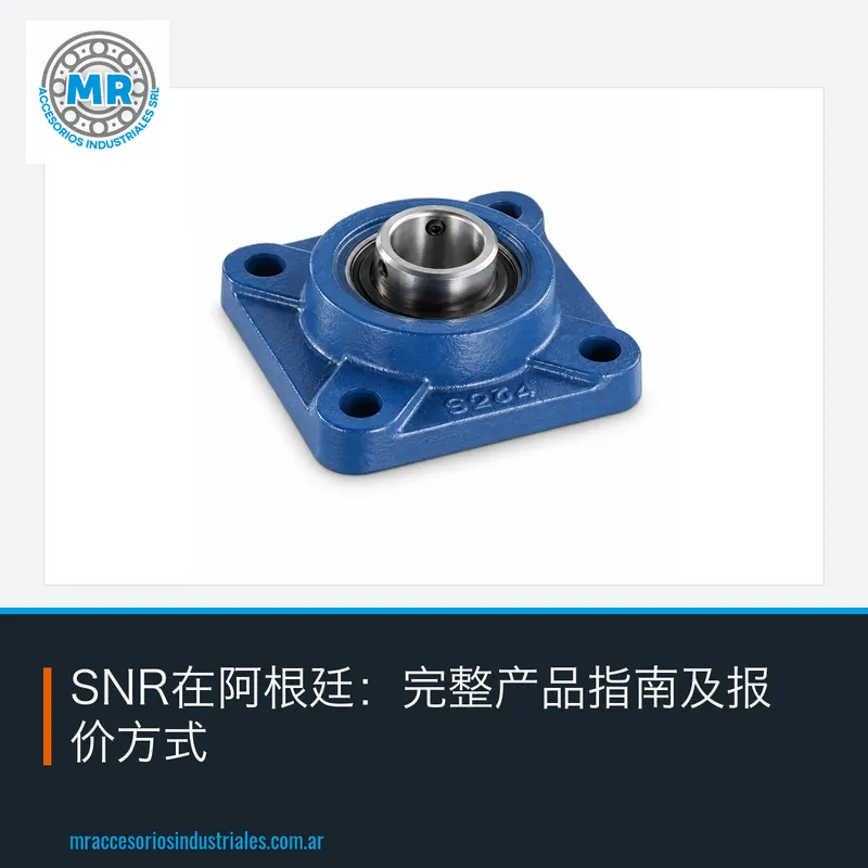 SNR在阿根廷：完整产品指南及报价方式