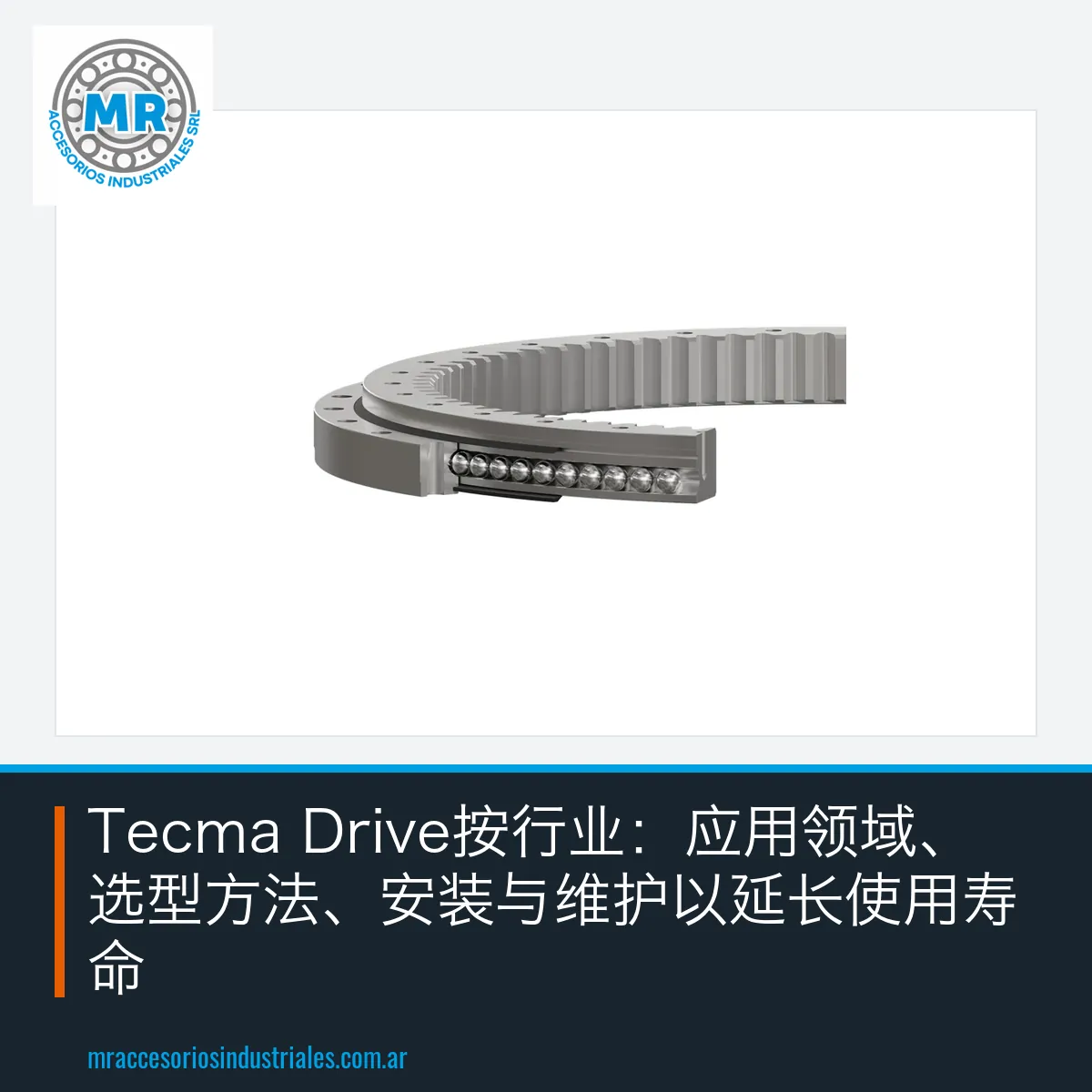 Tecma Drive按行业：应用领域、选型方法、安装与维护以延长使用寿命